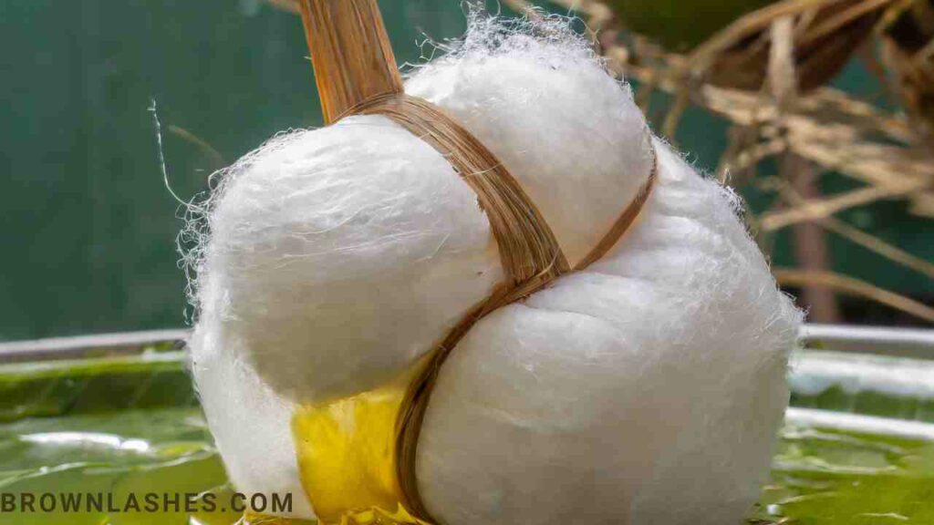 A close image of cotton soaked in coconut oil.