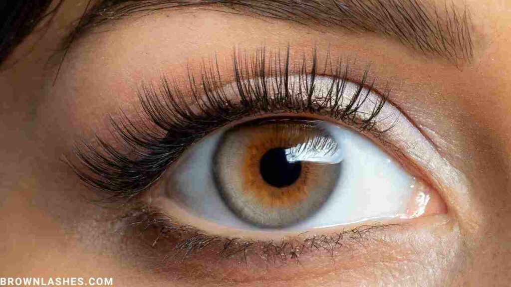 A close-up image of a person's eye with noticeably longer and fuller eyelashes, suggesting the effectiveness of natural remedies for eyelash growth.